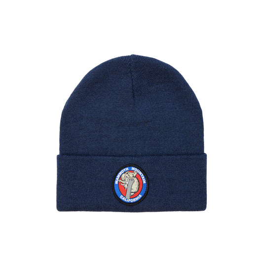 FLAK SB WOOLLY BEANIE