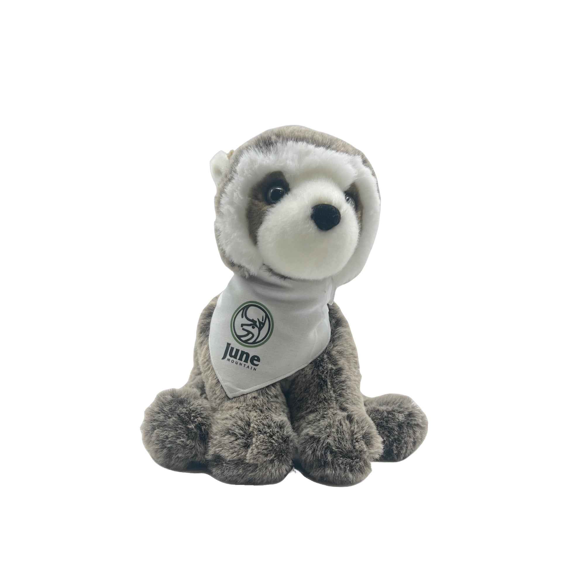RUDIE THE RACCOON