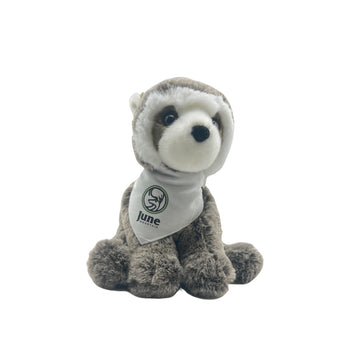 RUDIE THE RACCOON