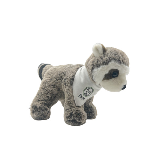 RUDIE THE RACCOON