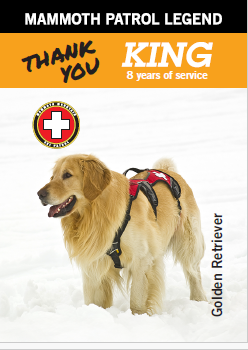 MAMMOTH PATROL LEGEND DOG -- KING