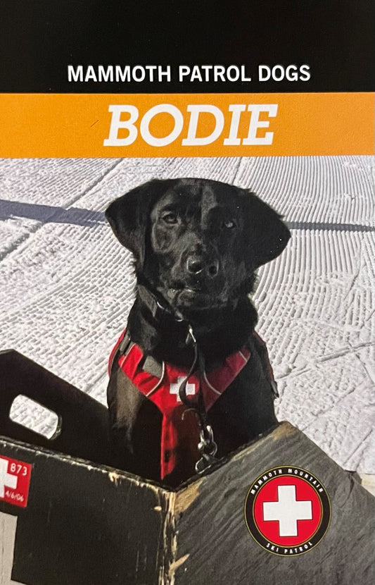 MAMMOTH PATROL DOG -- BODIE