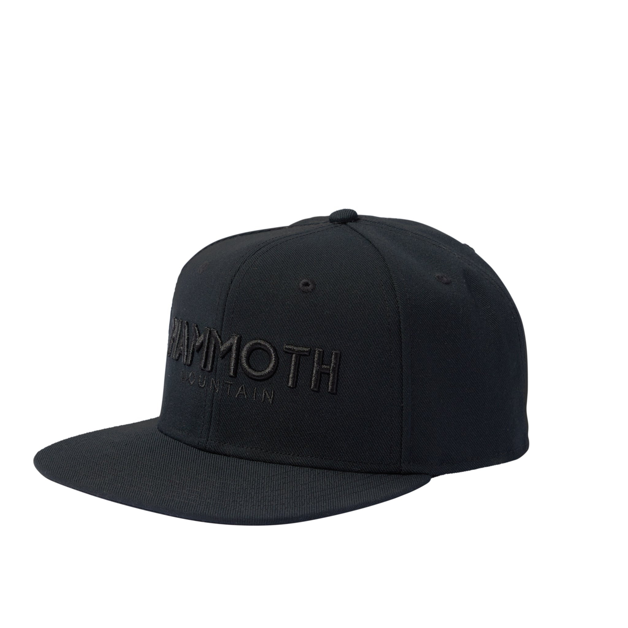 MAMMOTH WORDMARK CAP