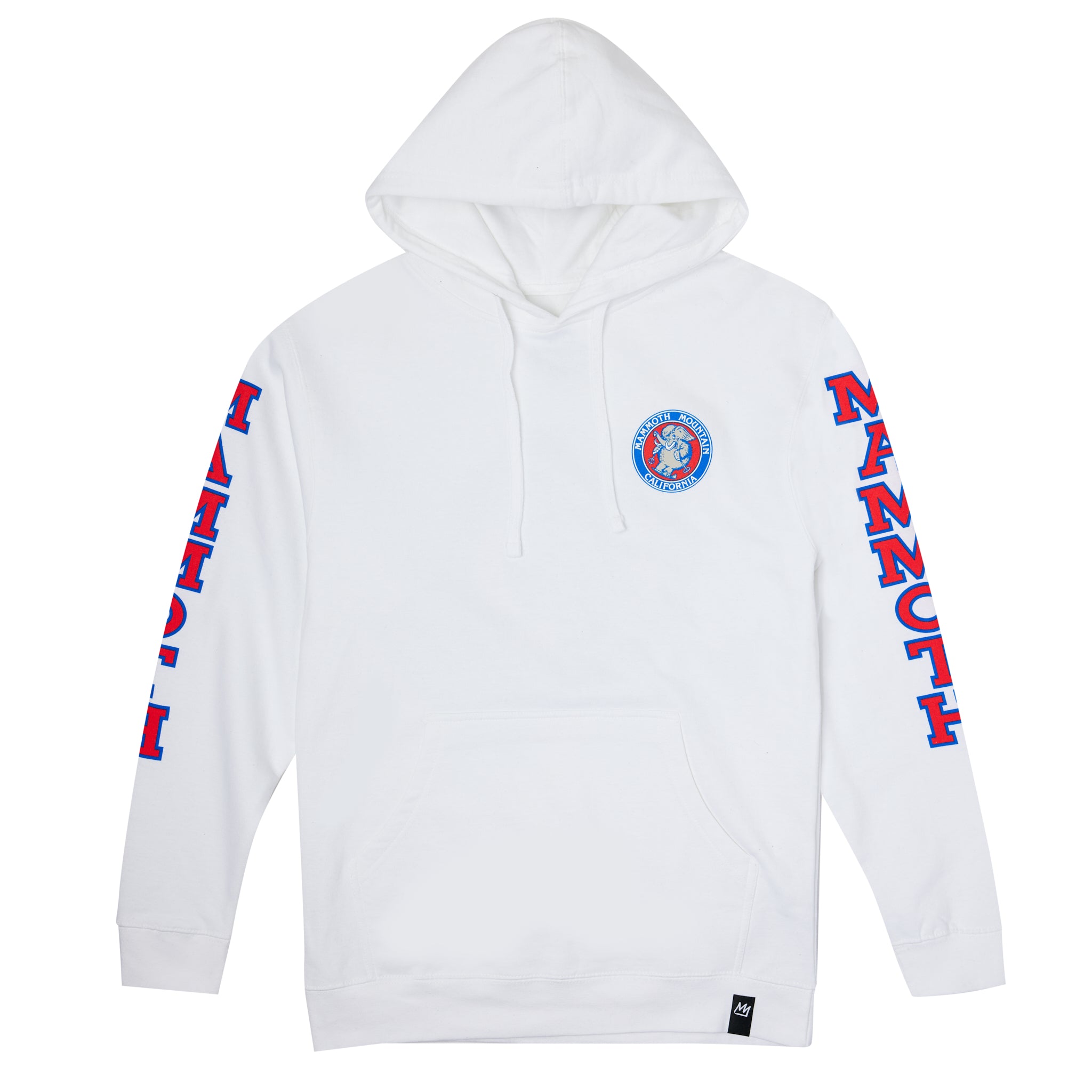 SKI WOOLLY HOODIE