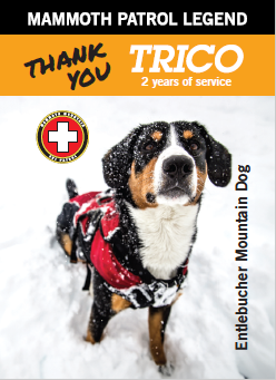 MAMMOTH PATROL LEGENDS DOG -- TRICO