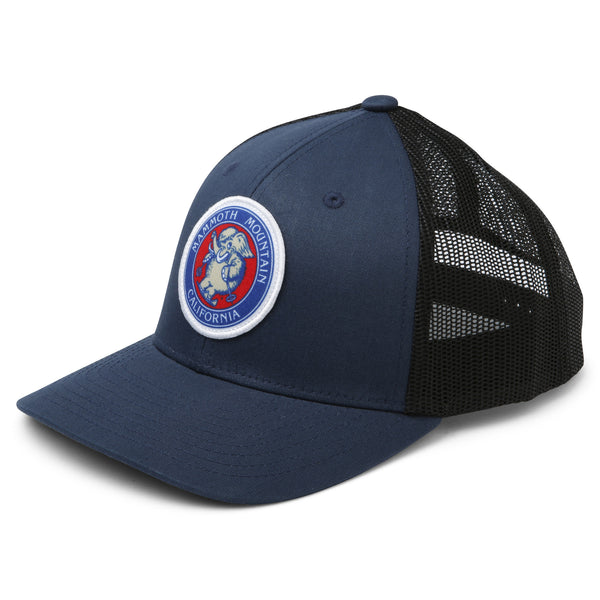 Skiing Woolly Youth Snapback