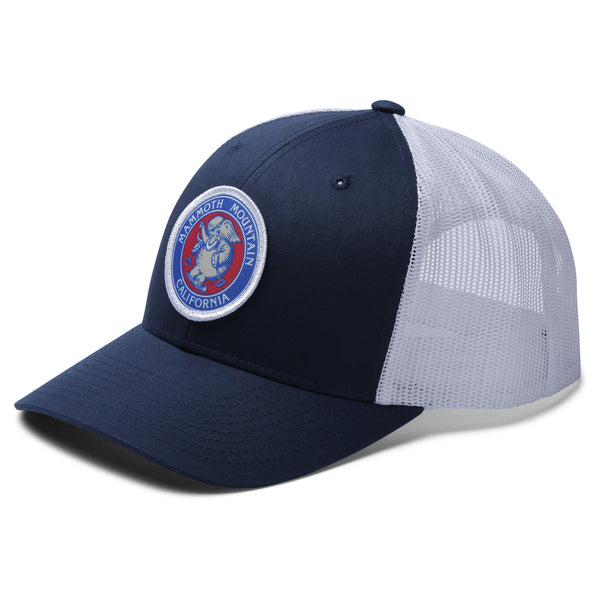 Skiing Woolly Mesh Trucker Cap