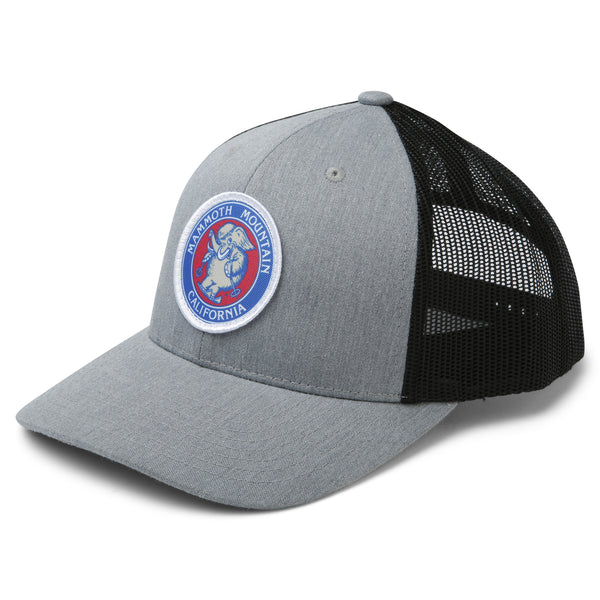 Skiing Woolly Mesh Trucker Cap