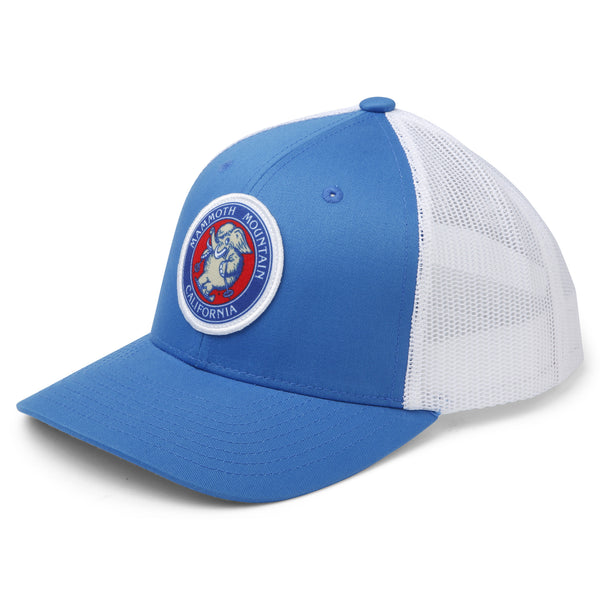 Skiing Woolly Youth Snapback