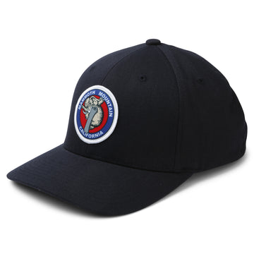 SB WOOLLY FLEXFIT HAT