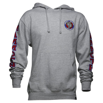 SB WOOLLY HOODIE